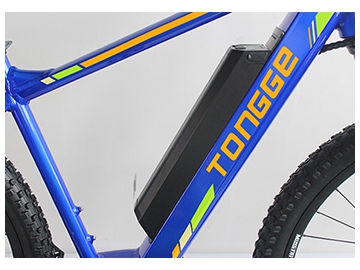 TG-M005 전기 산악 자전거