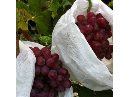 자루 심기용 부직포