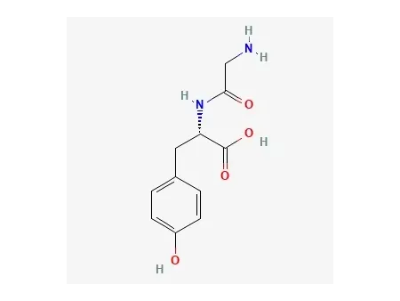 글리실-L-티로신