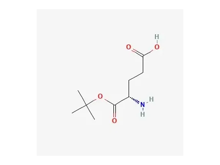 L-글루타민산 α-tert-부틸 에스터