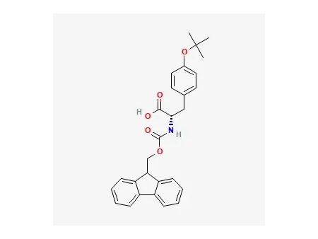 Fmoc-L-티로신(tBu)-OH