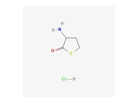 DL-호모시스테인 티올락톤 염산염