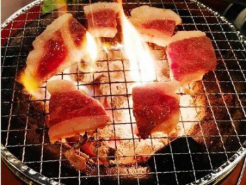 아연도금 스틸 BBQ 그릴 메시(교환식 숯 그릴)